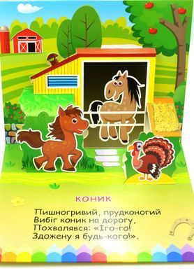 Обкладинка книги Книга-панорамка. Хто живе у селі Чубач Ганна, 978-966-254-705-4,   34 zł