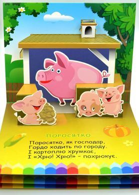 Обкладинка книги Книга-панорамка. Хто живе у селі Чубач Ганна, 978-966-254-705-4,   34 zł