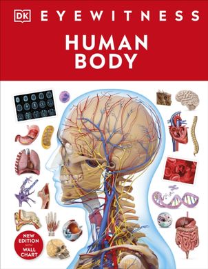 Обкладинка книги Human Body , 9780241617175,   70 zł