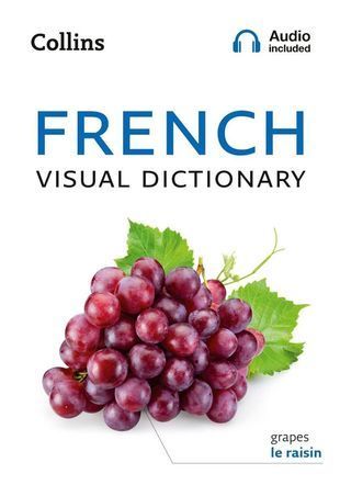 Okładka książki French Visual Dictionary (Collins Visual Dictionaries) Collins Dictionaries, 9780008290313,   43 zł