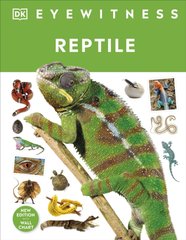 Okładka książki Reptile. Colin McCarthy Colin McCarthy, 9780241631676,   70 zł