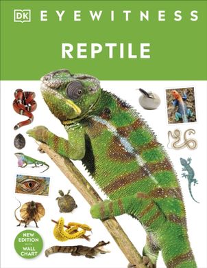 Обкладинка книги Reptile. Colin McCarthy Colin McCarthy, 9780241631676,   70 zł