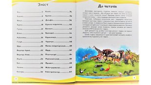 Okładka książki Енциклопедія у запитаннях і відповідях. Мами та малюки , 9789669472625,   41 zł