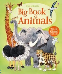 Обкладинка книги Big Book of Animals. Hazel Maskell Hazel Maskell, 9781474928953,   97 zł