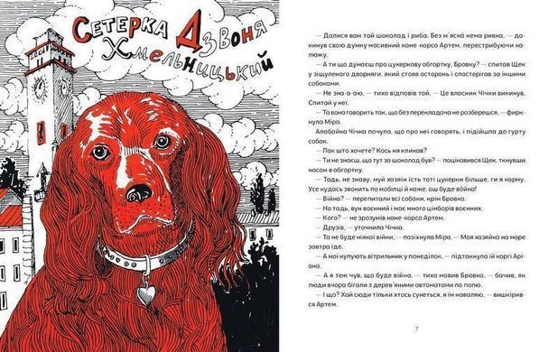 Обкладинка книги Врятувати Марчика. Лесь Белей Белей Лесь, 978-617-614-697-1,   76 zł