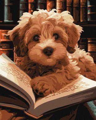 Обкладинка книги Картина за номерами - Пухнастий читач &copy;art_selena_ua 40x50 , 4823104357308,   64 zł