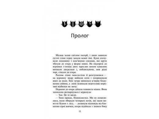 Okładka książki Коти-вояки. Нове пророцтво. Книга 4. Стожари. Гантер Ерін Ерін Гантер, 978-617-7660-45-2,   61 zł