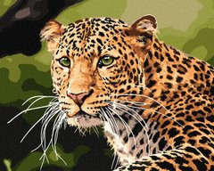Обкладинка книги Картина за номерами - Зеленоокий леопард , ,   67 zł