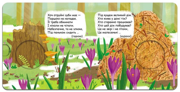 Okładka książki Хто сховався в лісі?. Василь Федієнко Федієнко Василь, 978-966-429-614-1,   71 zł