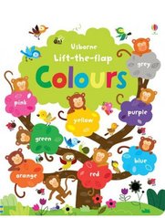 Okładka książki Lift-the-flap Colours Book , 9781409540571,   53 zł