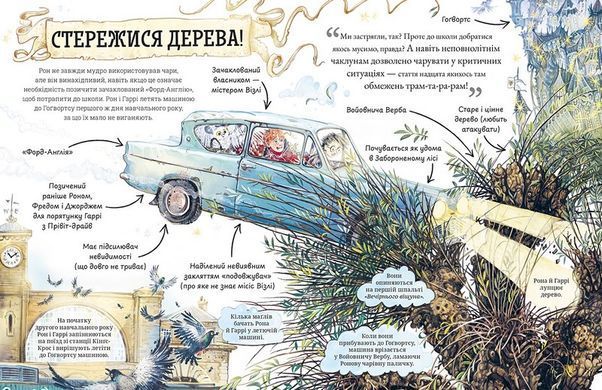 Обкладинка книги Міні-Поттери. Рон Візлі. Джоан Ролінґ Джоан Ролінг, 978-617-585-415-0,   80 zł