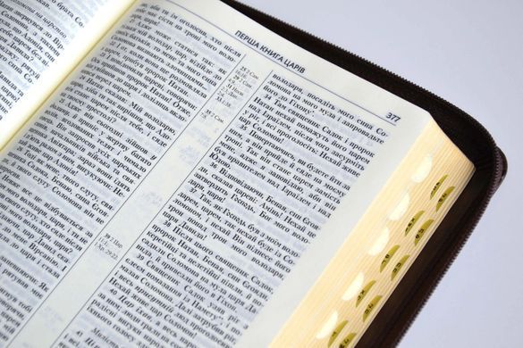 Обкладинка книги Біблія 10563 сучасний переклад коричнева , 978-966-412-157-3,   187 zł