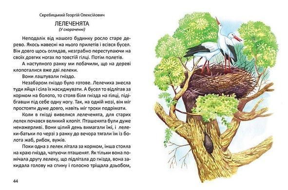 Обкладинка книги Малятам про звірят. Вікторія Борзова Вікторія Борзова, 978-966-935-245-3,   20 zł