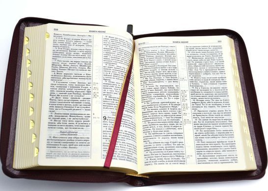 Обкладинка книги Біблія сучасний переклад 10572 шкіра бордова , 978-966-412-157-3,   180 zł