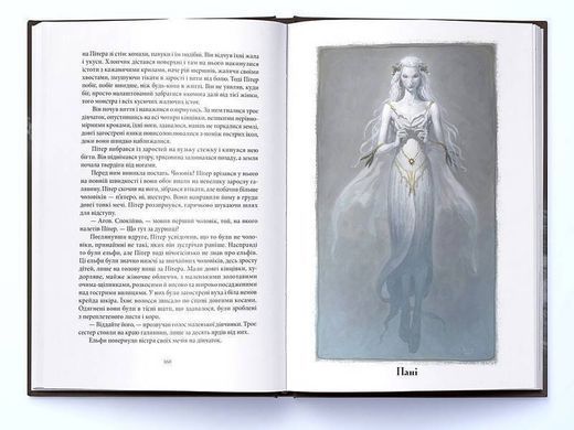 Обкладинка книги Викрадач дітей. Джеральд Бром Джеральд Бром, 978-617-8383-89-3,   116 zł
