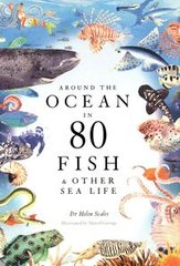 Обкладинка книги Around the Ocean in 80 Fish and other Sea Life. Helen Scales Helen Scales, 9781399602785,