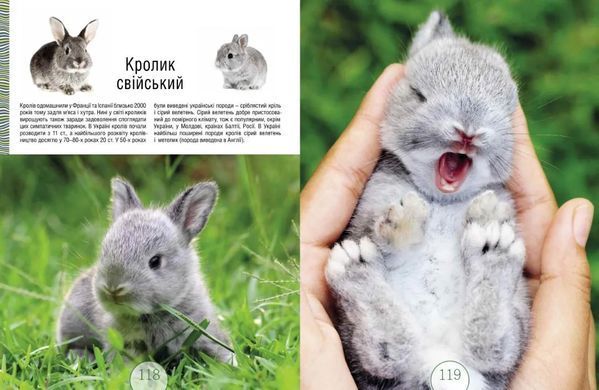 Обкладинка книги Малята-звірята , 9786176295846,   143 zł
