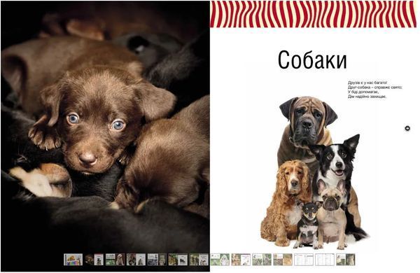 Обкладинка книги Малята-звірята , 9786176295846,   143 zł