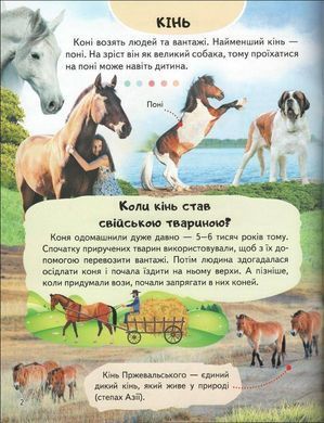 Обкладинка книги Енциклопедія. Ферма Ганна Логвінкова, 978-966-466-818-4,   13 zł