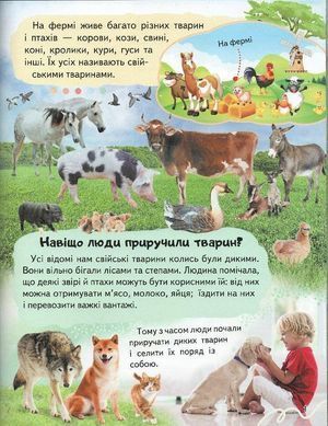 Обкладинка книги Енциклопедія. Ферма Ганна Логвінкова, 978-966-466-818-4,   13 zł