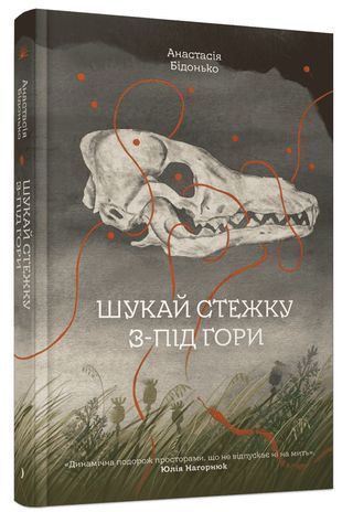 Okładka książki Шукай стежку з-під гори. Анастасія Бідонько Бідонько Анастасія, 978-617-522-677-3,   66 zł