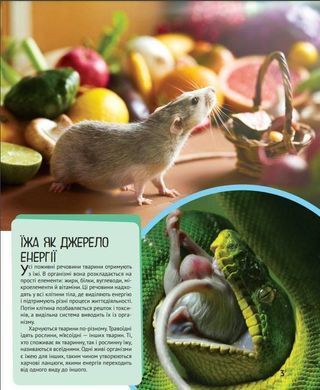 Okładka książki Дитяча ілюстрована енциклопедія. Тварини. Марія Жученко Жученко Марія, 9789669827036,   27 zł