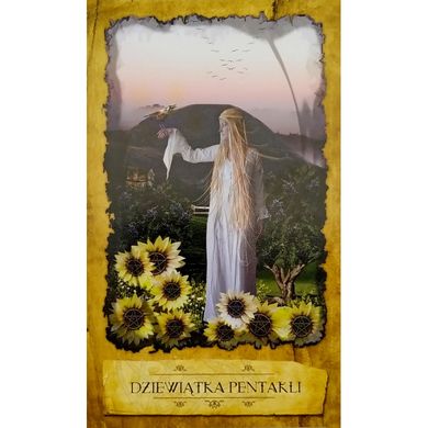 Обкладинка книги MISTYCZNY TAROT MARZYCIELA 78 kart + książka (МІСТИЧНЕ ТАРО МРІЙНИКА 78 карт + кн) , 9788073701833,   140 zł