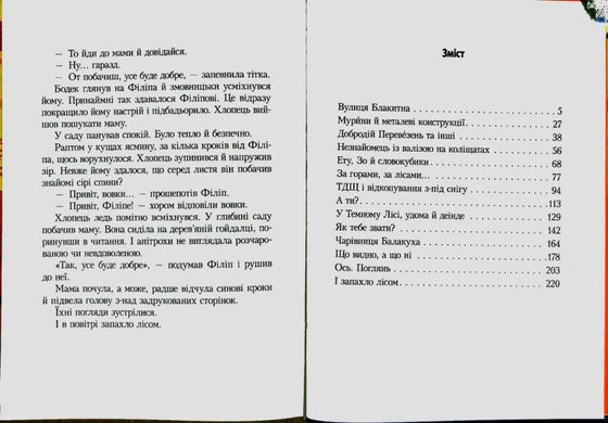 Обкладинка книги Привіт, вовки! Касьянович Дорота Касьянович Дорота, 978-966-2647-48-8,   26 zł