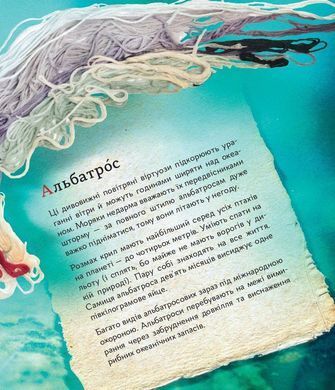 Обкладинка книги ПтахАбетка. Українські пернаті. Ирена Панарина Ирена Панарина, 978-617-09-5774-0,   35 zł