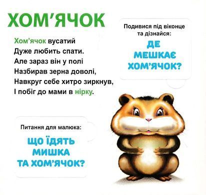 Обкладинка книги Хто де живе? 33 Віконця Чубач Ганна, 200-084-288-777-5,   27 zł
