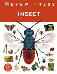 Okładka książki Insect , 9780241617311,   70 zł
