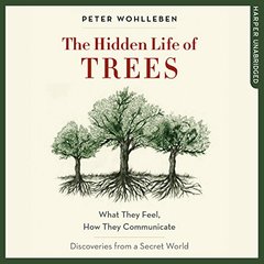 Okładka książki The Hidden Life of Trees. Peter Wohlleben Peter Wohlleben, 9780008218430,