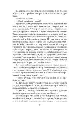 Обкладинка книги Карби. Оповідання. Марко Черемшина Марко Черемшина, 978-617-551-913-4,   30 zł
