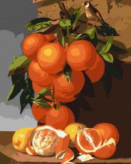Обкладинка книги Картина за номерами - Апельсини та лимони ©Antonio Mensaque , ,   58 zł