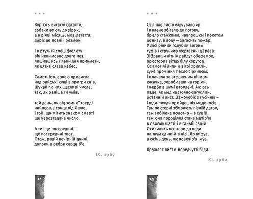 Okładka książki Небо. Кручі. Провалля. Вода. Стус Василь Василь Стус, 978-617-679-180-5,   64 zł