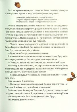 Okładka książki Таємниця різдвяного подарунка. Анна Лотт Лотт Анна, 978-966-982-517-9,   40 zł
